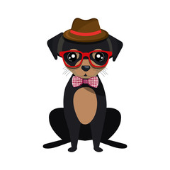 cute dog hipster style vector illustration design