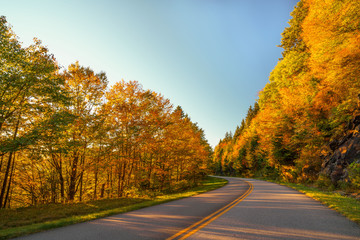Fototapeta premium Fall on the Blue Ridge Parkway