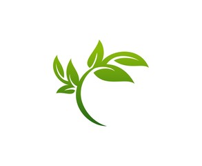 Fototapeta premium Leaf logo