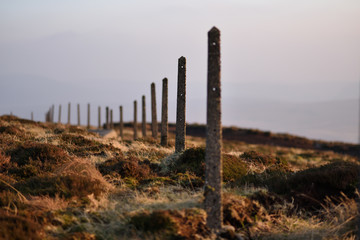 old fence in Wicklow Mountains - Ireland