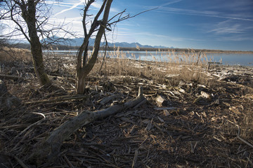 Chiemsee Landschaft.