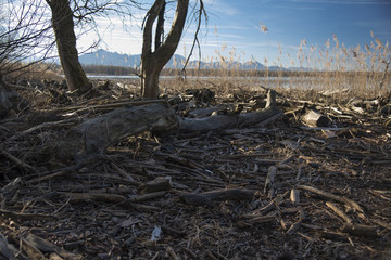 Chiemsee Landschaft.