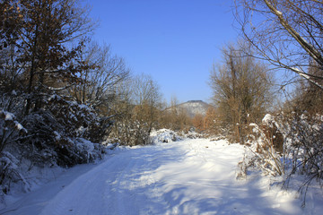 country road in snow