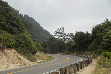 Landscape, mountain, mount, rotate, cone, markings on the road, road, highway, route # 1, Trassa1, cool  rotate, wind, summer, United States, California, slope, Cliff, forest, tree, trees, fencing