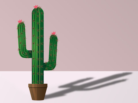 cactus Tripode