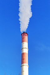 Chimney with steam production of a thermal power station