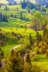 wiosna w Pieninach-rezerwat Biała Woda © Janusz Lipiński