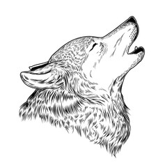  illustration of a howling wolf © vectorpocket