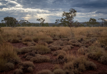 Fototapeta na wymiar Karijini National Park, Pilbara, Hamersley Range, Western Australia