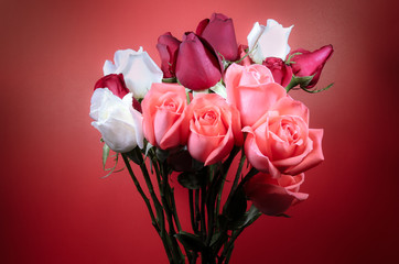 bouquet of roses on orange screen
