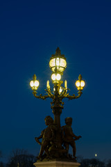 Fototapeta na wymiar Bridge of the Alexandre III, Paris