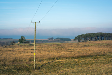 Telegraph poles in countryside