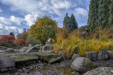 Autumn in the City of Hamburg 
