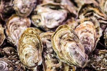 Keuken foto achterwand verse oesters in bulk bij de viswinkel voor vakanties © STUDIO GRAND WEB