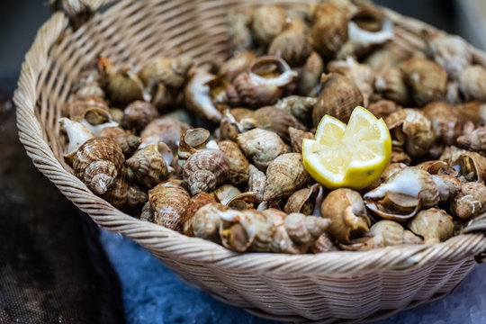 display of small whelks or French bulots crustaceans in basket
