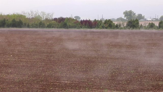 Steam Fog Rises from Warm Field on Cool Spring Morning