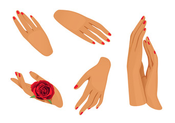 female hands on a white background
