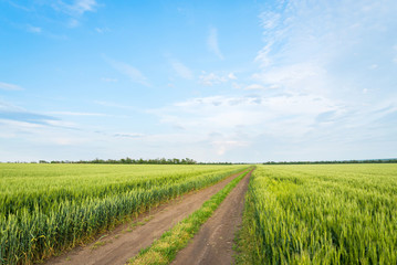 Summer landscape road, wheat field and clouds