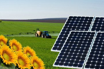 Photo collage of solar panels against the crops background -  concept of sustainable resources