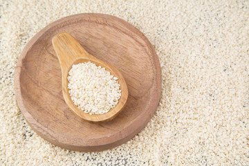 Sesame white seed (Sesamum indicum)