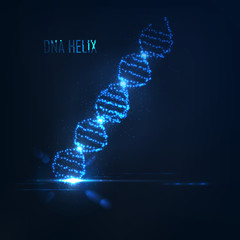 Nenon dna helix consist of glowing particles .