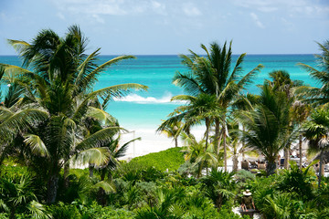 Tropical beach with coconuts tree/ resort in Riviera Maya. Mexico