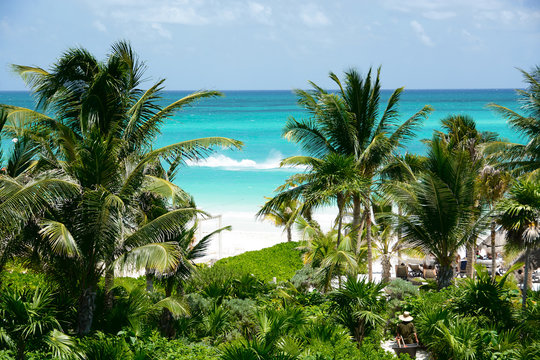 Tropical Beach With Coconuts Tree/ Resort In Riviera Maya. Mexico