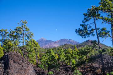 Teide National Park, Tenerife, Canary island, Spain