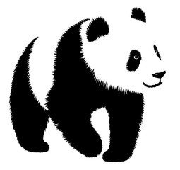 Fototapety  black and white linear paint draw panda illustration