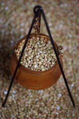 Buckwheat in a little golden bucket