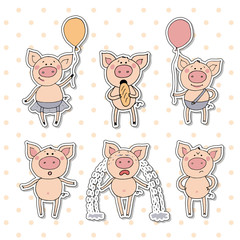 Collection of cute piglet sticker in cartoon style