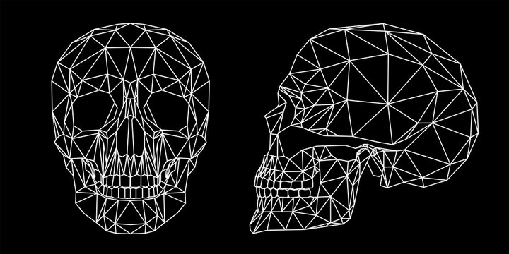 Teschio umano vista frontale e laterale, illustrazione geometrica di linee bianche sullo sfondo nero