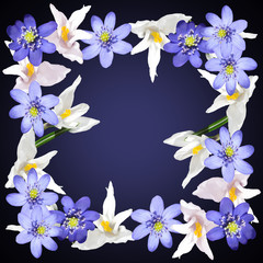 Naklejka na ściany i meble Beautiful spring background with flowers of crocus and hepatica 