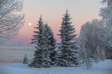 Winter Moonrise