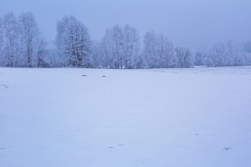 Fototapeta na wymiar Winter foggy fields near forest landscape