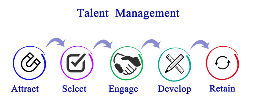 Talent  Management