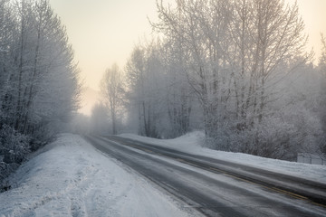 Winter Road