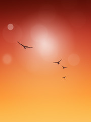 Summer Background