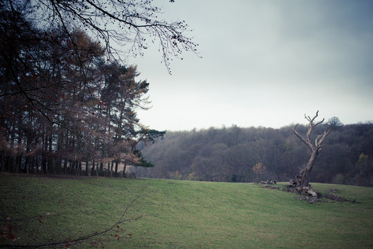 www.electricphotography.co.uk; https://twitter.com/electricfoto