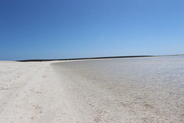 Shellbeach / Muschelstrand © Melanie