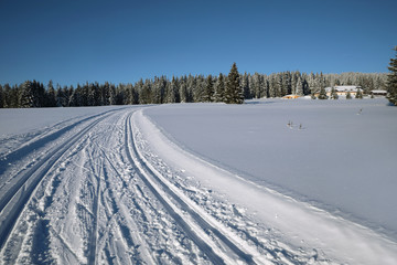 Obraz premium Winter landscape and trails for skiers