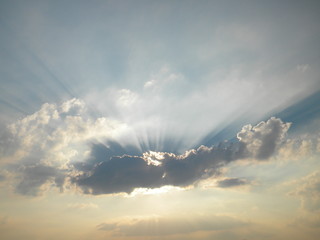 sun natura animals © Joanna