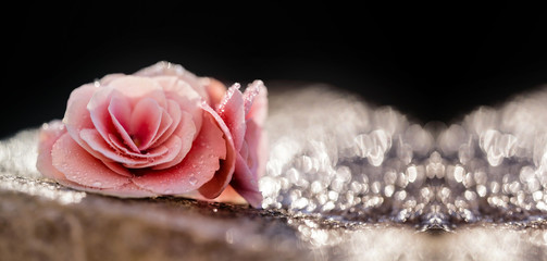 Website banner of Valentine's day pink flower greeting card