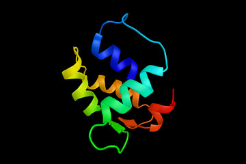 Centrin 1, a protein which redistributes to the region of the sp