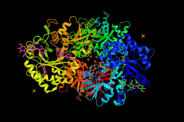 Chitinase-3-like protein 1, a secreted glycoprotein expressed an