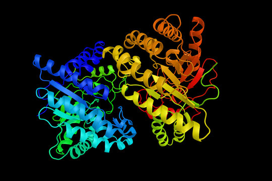 Cellulase, a cellulose breakdown enzyme.  Produced chiefly by fu