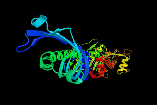 Cholesteryl ester transfer protein (3d structure) with a potenti