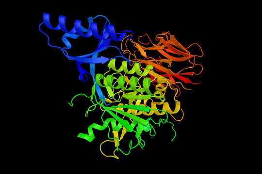 Proprotein convertase subtilisin/kexin type 9 (PCSK9), an enzyme