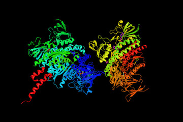 Dihydrolipoamide dehydrogenase, a mitochondrial enzyme that play