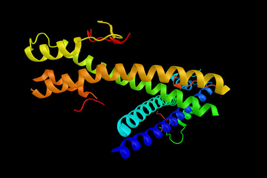 Dystonin, A Protein Which Anchorsneural Intermediate Filaments T